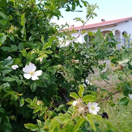 Дом отдыха House In Complex